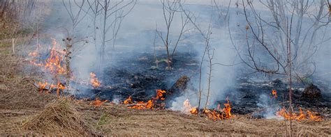 Llamado de alerta sobre incendios forestales durante la época de sequía