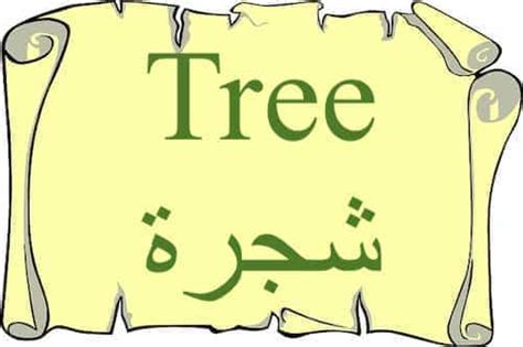 The Word Tree Mentioned In Quran The Last Dialogue