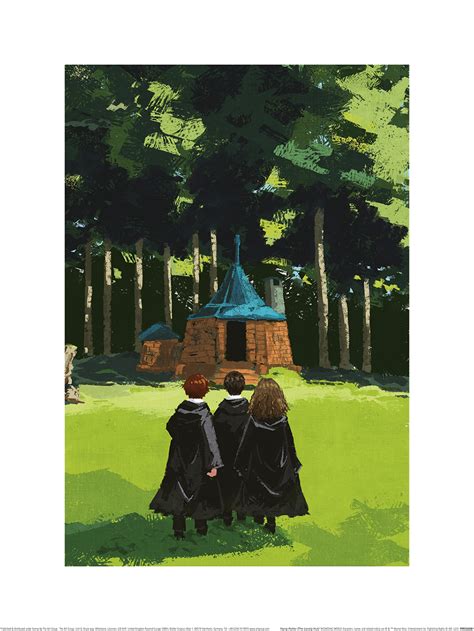 Harry Potter (The Lonely Hut) Art Print | The Art Group