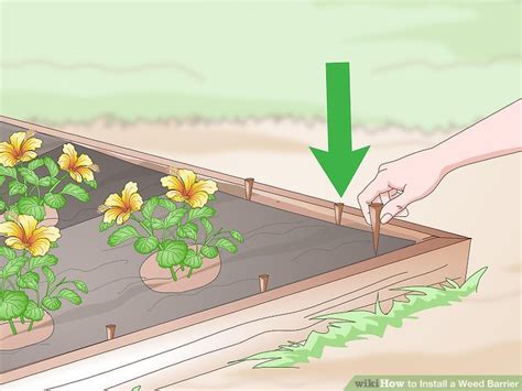 3 Ways To Install A Weed Barrier Wikihow