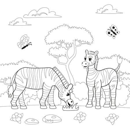 Zebras Para Colorir Desenhos Fofos Para Imprimir Gr Tis