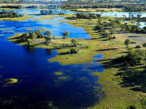 Okavango River Delta