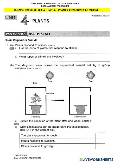 Plants Response To Stimuli Set 3 Worksheet Live Worksheets