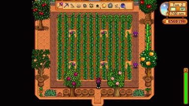 Best Stardew Valley Greenhouse layout: Trees, sprinklers, best crops ...