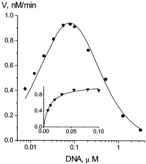 Bacteriophage T4 Dam Dna [n6 Adenine]methyltransferase Journal Of