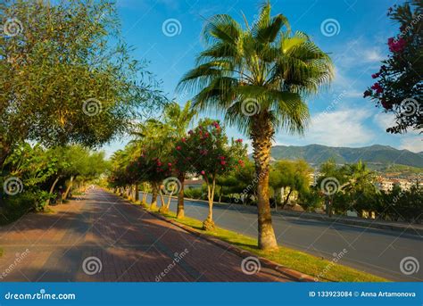 Tourist Area The Road In Front Of The Beach With Palm Trees Alanya