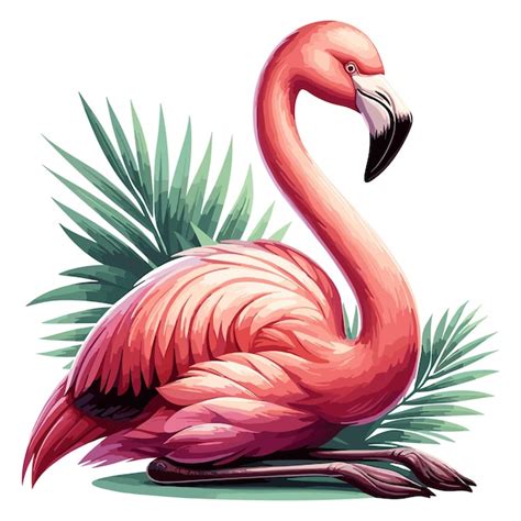 Premium Vector Cute Flamingo Vector Cartoon Illustration