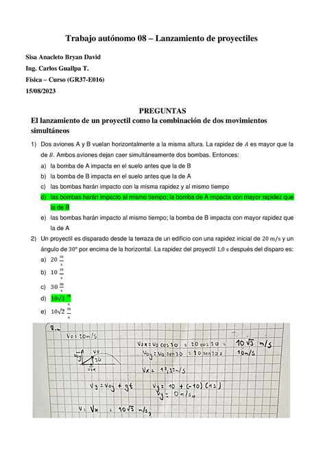 Gr Hoja Sisa Bryan Trabajo Trabajo Aut Nomo Lanzamiento De