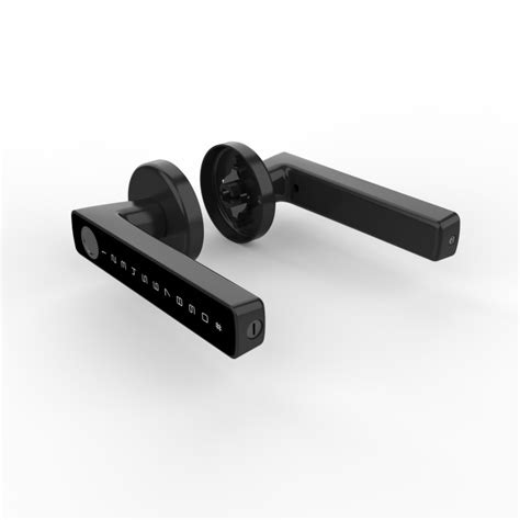 Дверная смарт-ручка, с кодовым замком, чёрная (CJ001) оптом от ...