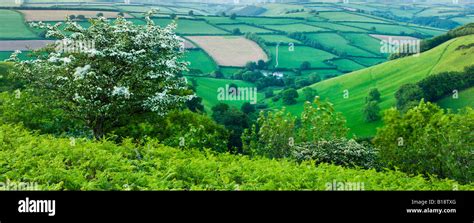 Winsford Hill And The Punchbowl Exmoor National Park Somerset England