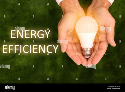 Energy Efficiency Concept Man Holding Lamp Bulb Against Green