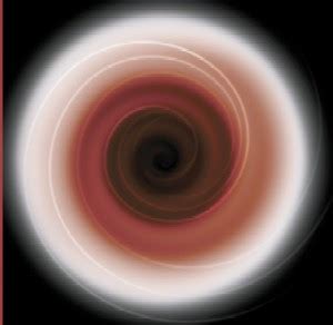 Black Hole Singularity Theory