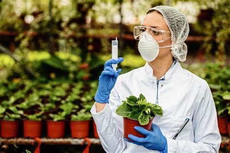 Día De La Sanidad Vegetal 12 De Mayo