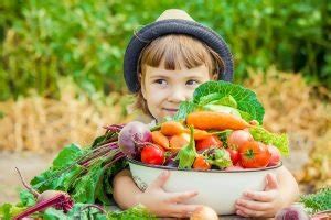 Obst für Kinder richtige Menge Tipps zum anrichten