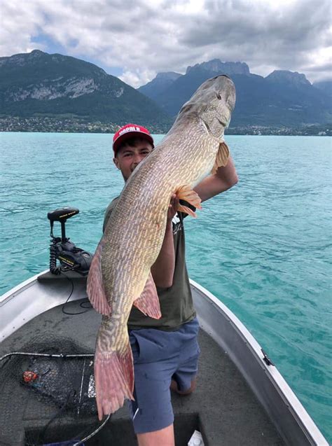 Brochet record les 10 plus gros brochets pêchés en France Le Blog