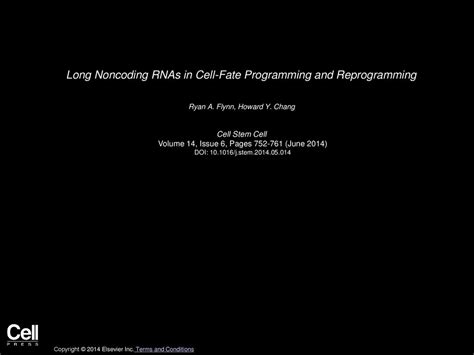 Long Noncoding RNAs In Cell Fate Programming And Reprogramming Ppt