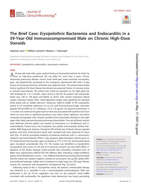 Pdf The Brief Case Erysipelothrix Bacteremia And Endocarditis In A