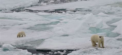 Aquecimento acelerado do Ártico revela gravidade da crise climática