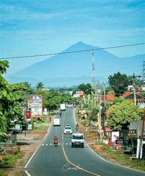 Sejarah Pringsewu Kabupaten Terkecil Di Lampung