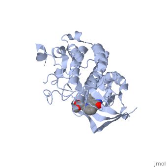 Hepatocyte growth factor receptor - Proteopedia, life in 3D