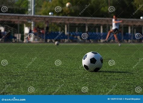 Traditional Soccer Ball On Green Grass Playground Stock Image Image