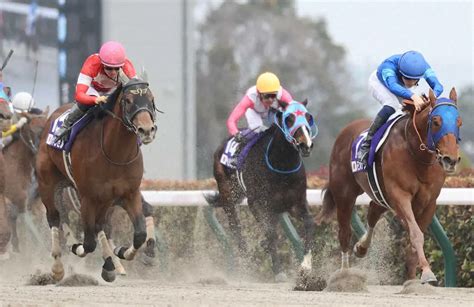 フェブラリーsで2着に入ったレッドルゼル（左） ― スポニチ Sponichi Annex ギャンブル