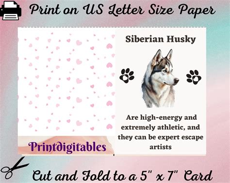 Tarjeta De Felicitación De Arte Del Perro Husky Siberiano Tarjeta