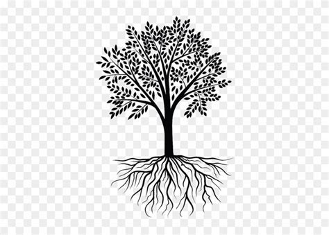 Free Vector Tree With Roots at Vectorified.com | Collection of Free ...