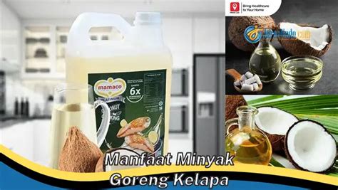 Banyak Yang Belum Tahu Inilah Manfaat Minyak Goreng Kelapa Yang