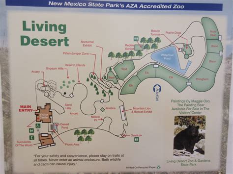 Living Desert Zoo And Gardens State Park Nm | Fasci Garden