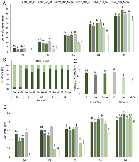 Plants Free Full Text Preventive And Curative Effects Of Salicylic