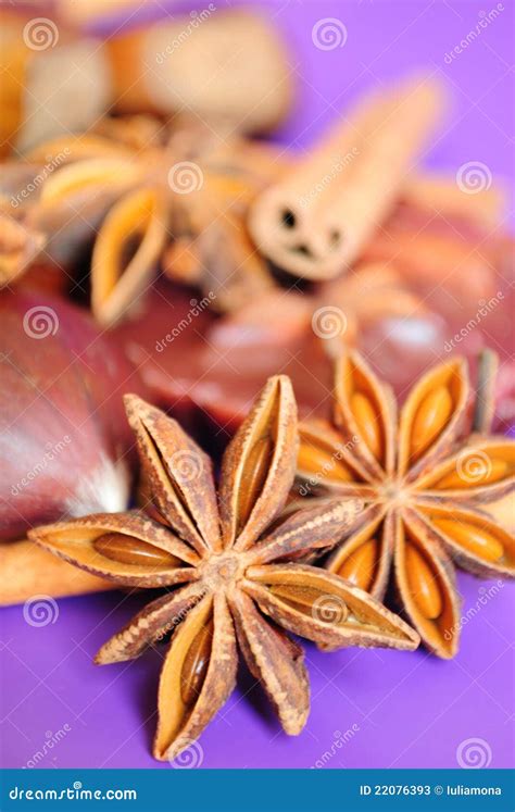 Star Anise Stock Image Image Of Spice Naturel Cooking 22076393