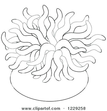 Ocean Plants Coloring Pages at GetColorings.com | Free printable colorings pages to print and color