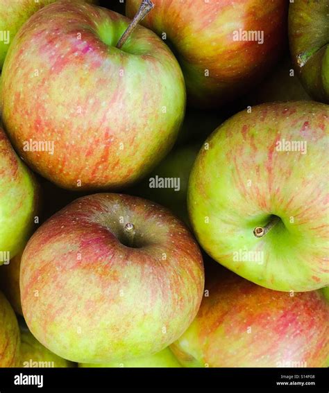 Montagne De Pommes Banque De Photographies Et Dimages Haute