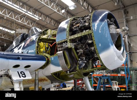 Pratt & Whitney R-2800-10RW Double Wasp radial engine on a preserved ...