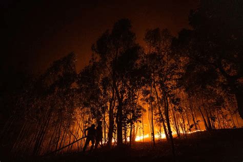 Tragédia dos fogos seria bastante pior se tivéssemos tido um ano seco