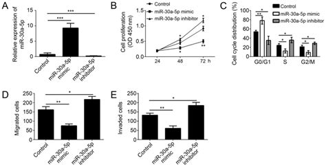 Mir‑30a‑5p Inhibits The Proliferation Migration And Invasion Of