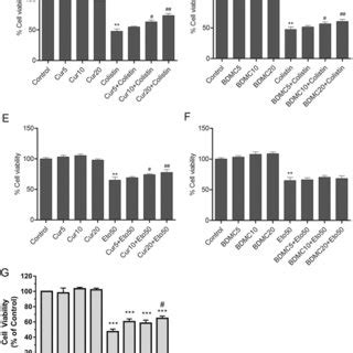 Protective Effects Of Curcumin And Bisdemethoxycurcumin On