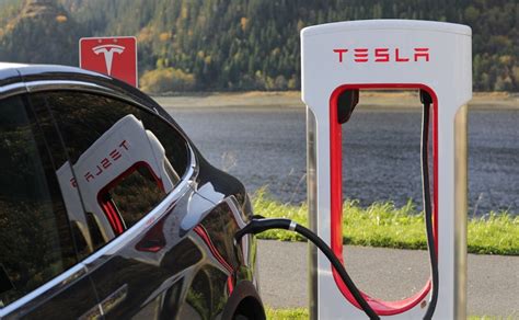 The Electric Vehicle Race Heats Up New Competitors Challenge Tesla S