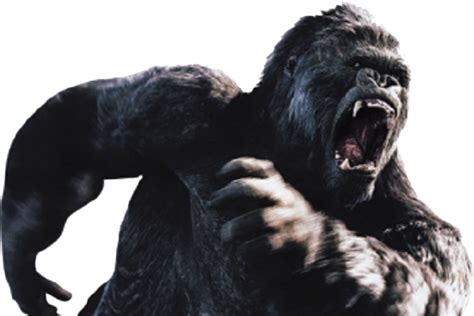 Gorilla Transparent Transparent Hq Png Download Freepngimg