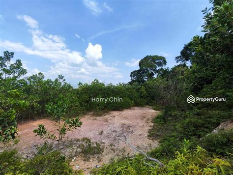 Agriculture Land At Raub Raub District Pahang Agricultural Land