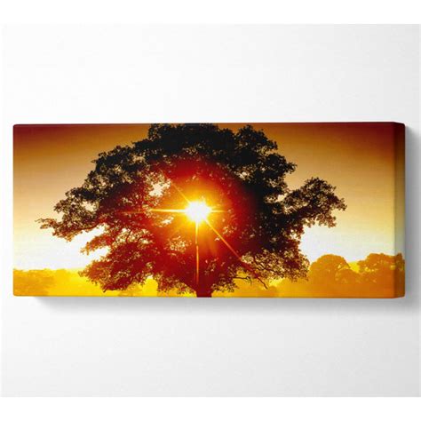 Ebern Designs Sonne Durch Den Baum Druck Wayfair De