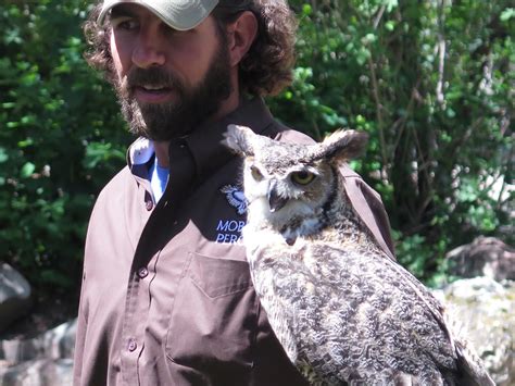 Where Is Cookie Codys Thriving Raptor Exhibit Gives Hands On Close