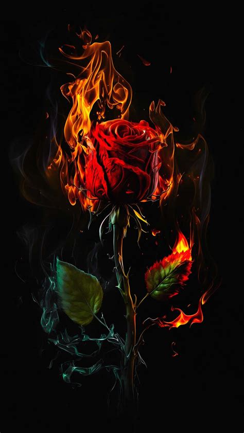 Burning Rose IPhone Wallpaper HD IPhone Wallpapers