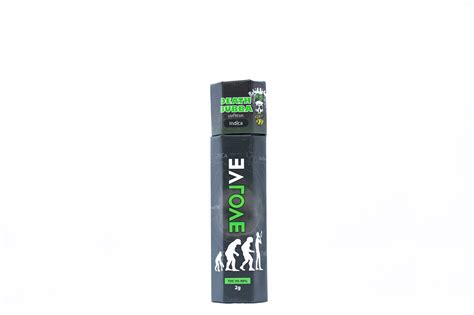 Evolve Disposable Vape Pen 2 Grams Bud Hub Express