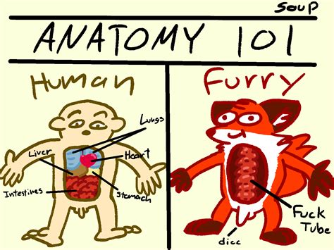 Anatomyirl Rfurryirl