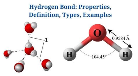 Hydrogen Bond Properties Definition Types Examples Phd Nest