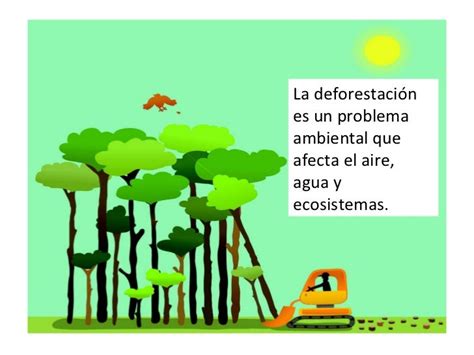 Conservar Y Proteger Los Recursos Naturales