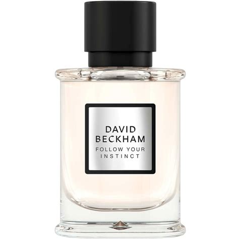 Follow Your Instinct Von David Beckham Eau De Parfum Meinungen