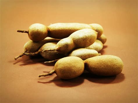 Tamarind Fruit · Free Stock Photo